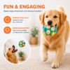 Dog Snuffle Ball