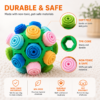 Dog Snuffle Ball