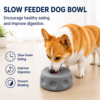 Slow Feeder Dog Ball