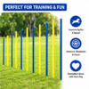 Dog Agility Weave Poles Training Set Improve Speed, Focus & Agility Through Interactive Trainin