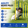 Dog Agility Weave Poles Training Set Improve Speed, Focus & Agility Through Interactive Trainin