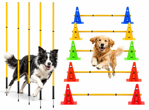 Dog Agility Training Hurdle Cone Set, Adjustable Dog Agility Equipment Obstacle Course Backyard Equipment for Pet Exercise