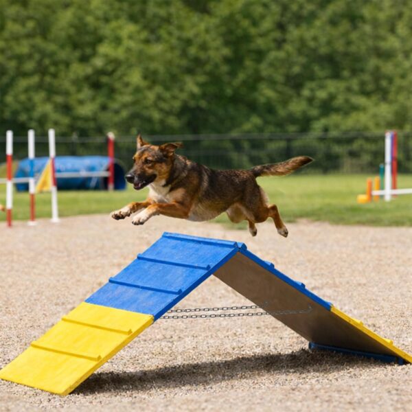 Dog Agility A Frame for Large Dogs, 82” x 23” Dog Agility Course Backyard Set, Dog Agility Equipment Outdoor for Jumping Climbing