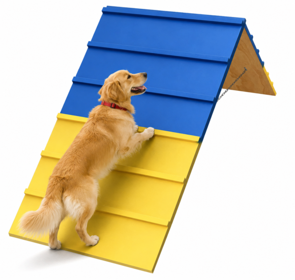 Dog Agility A Frame for Large Dogs, 82” x 23” Dog Agility Course Backyard Set, Dog Agility Equipment Outdoor for Jumping Climbing