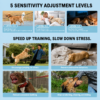 Smart Dog Bark Collar AI Smart Dog Bark Collar 2-in-1 Remote Training & Anti Bark Collar