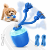 Interactive Automatic Rolling Dog Toy